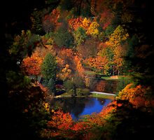 Fall Majesty Upgrade by Lisa Taylor