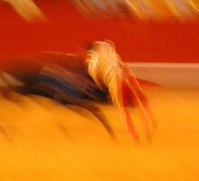 Matador and bull, Valencia, Spain by fauselr