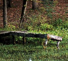 Neglected Pier by Ginger Barritt