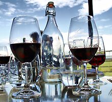 Wine tasting at Bimbadgen Estate by andreisky