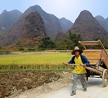 DOWN AND OUT IN XING PING by Michael Sheridan