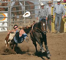 Tasting that Rodeo Dust by Christine Till @ CT-Graphics
