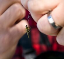 Fly Tyin' by Ann Rodriquez