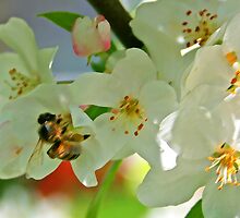 oh my aching back by Tony Waite