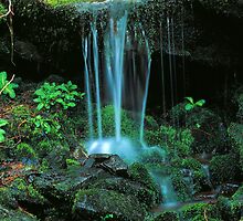 MOSSY CASCADE by Chuck Wickham