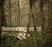 My secret garden I. by Csaba Jekkel