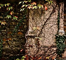My sacred garden III. by Csaba Jekkel