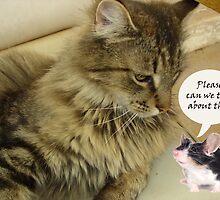 Please??????? by Sharon Stevens
