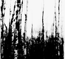 Woods by Marie Monroe