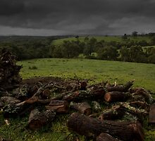 Dislocation by Jared Revell