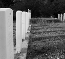 The Fallen by Jennifer Ellison