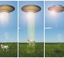 Dream or Reality by 73553