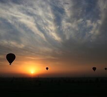 West Bank Balloon Ride at Sunrise by Roddy Atkinson
