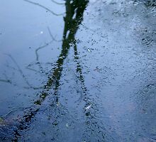 Ice Forming........Jack Frost Warning.... by Larry Llewellyn
