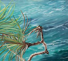 Noosa National Park series 4. by gunnelau