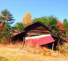 Barn on my Brothers property by Robert Woods