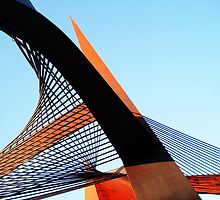 aspiration by Marian Enache