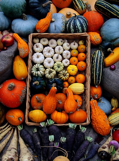 Basket of Harvest Goodness by Mark Wilson Basket of Harvest Goodness by Mark Wilson