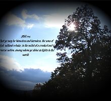 The Light by Butterfly2008