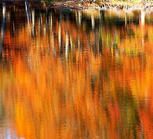 Autumn Reflection by Ginger Barritt