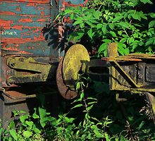 rusty sleepers... by danapace