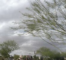 Breeze and clouds by Bonnie Pelton
