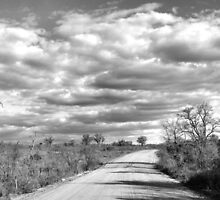 An empty promise B&W by Carisma
