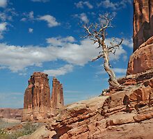 Lonely Tree by Erwin G. Kotzab