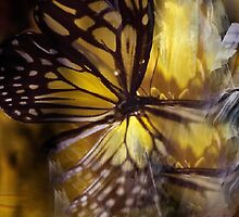 Magical Metamorphosis by Mystic Raven 9