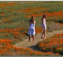 Field Of Dreams by Chet King