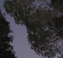 dusk rising 2 by lillypilly