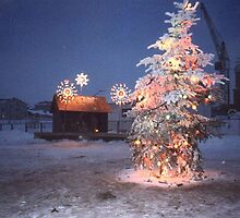 Christmas by TarasKokovsky