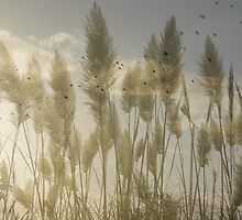 As Above So Below by Anne McGinn
