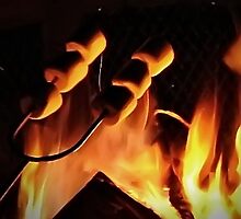 Campfire Marshmallows by Tracy DeVore