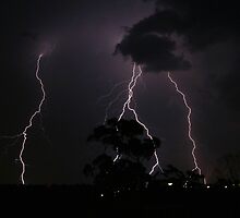 Natures Fury by Kim Roper