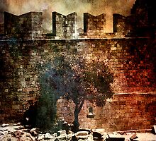 Walls of Jericho by Varinia - Globalphotos