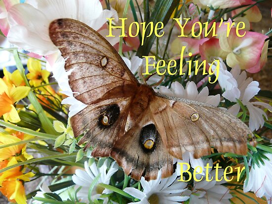 Hope You Re Feeling Better Card By Maebelle Redbubble