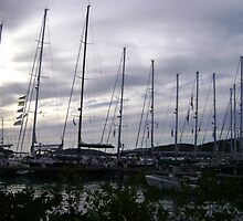 Bitter End Yacht Club sailboats, British Virgin Islands by mcbuca02