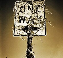 One Way by Philipp Verges
