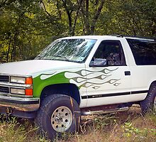 Bayou Buggy by KSkinner