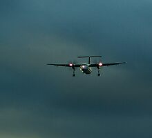Sunset Flight by George Cousins