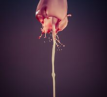 Creamy and pink by JBlaminsky