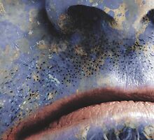 beaten up by David Gano