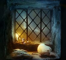 Too Many Scary Stories by Aimee Stewart