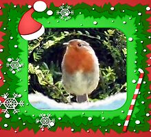 Where Are Those Youngsters.Christmas card by Rosemariesw