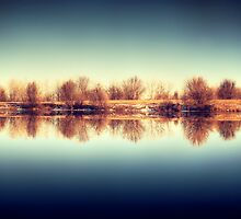 Quiet Mind by Solefield