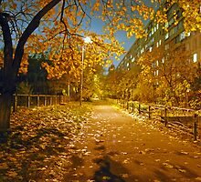 Night and autumn. by Sergieiev