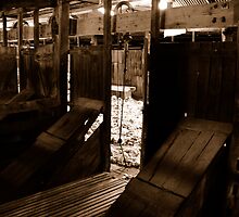 Down the chute by Gordon Slater