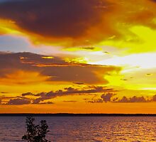 Images of Nature by Nickolay Stanev