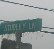 Studley Lane .... Another inspired by Kjgordon :) by Naylor